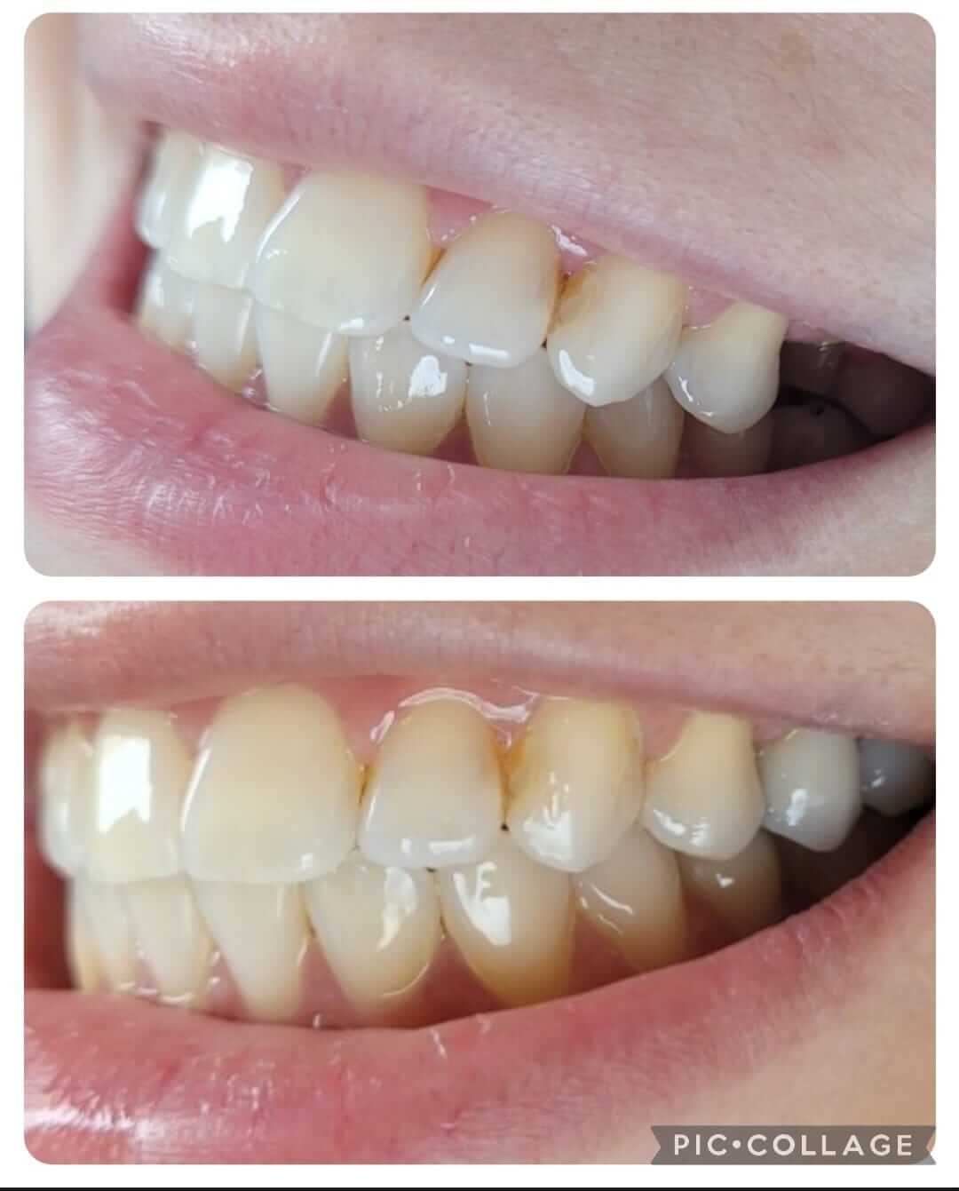 dentista+zona+norte+sp(4)